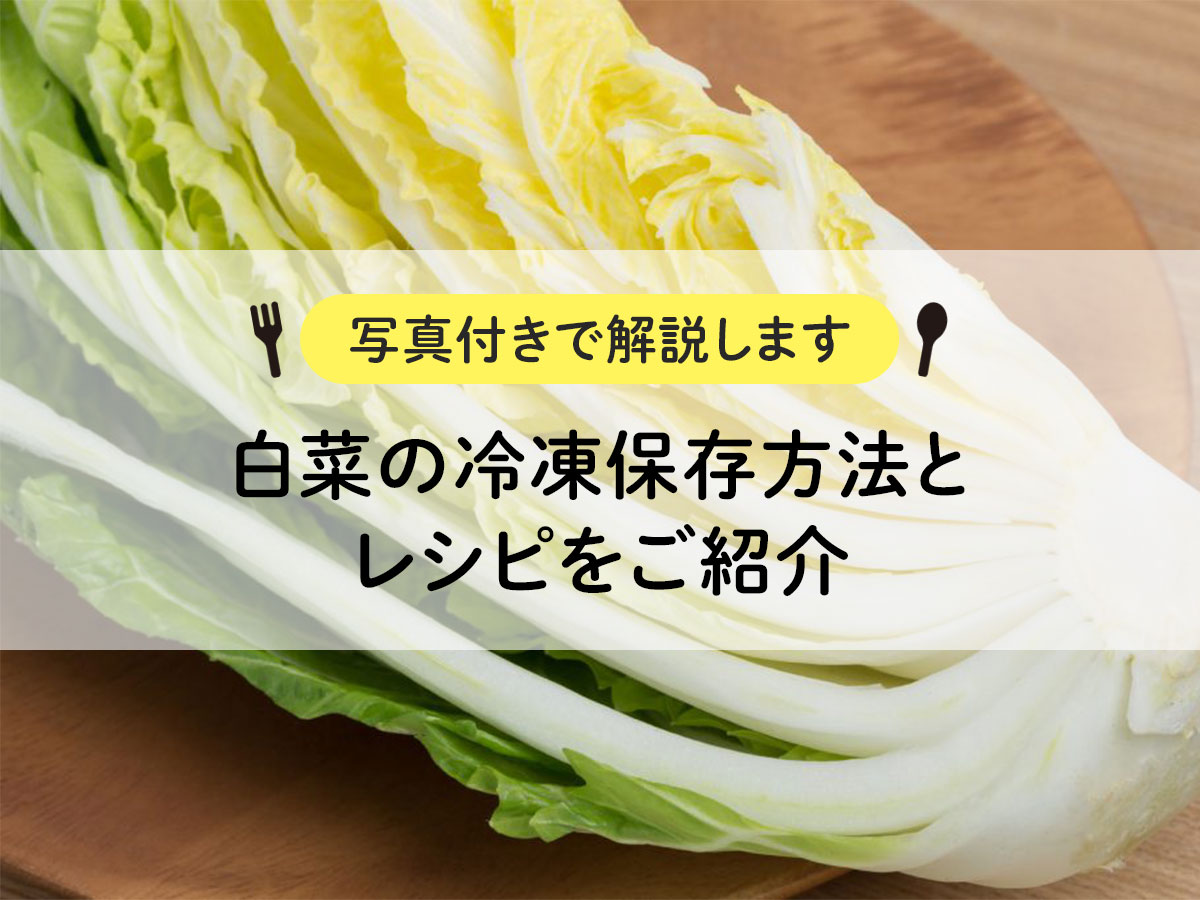 白菜の冷凍保存方法とレシピをご紹介【写真付きで解説します】